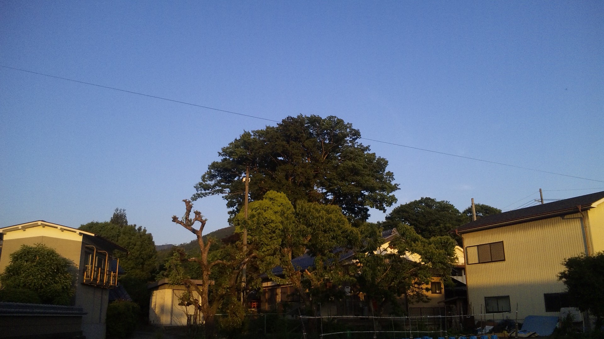 ５月の夕方の空